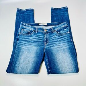 BKE jeans Payton Universal Fit Mid Rise Straight leg jeans stretch women size 30